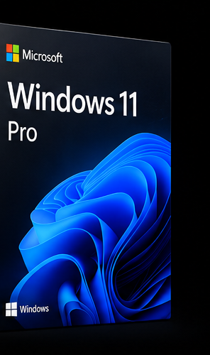 Caja de Windows 11 Pro